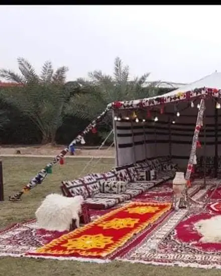 جلسة تحت الخيمة: خيمة وسجاد وفرش لجلسة بر.